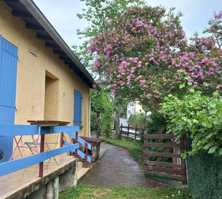 Maison Au Pied De La Montagne Aspet Екстериор снимка