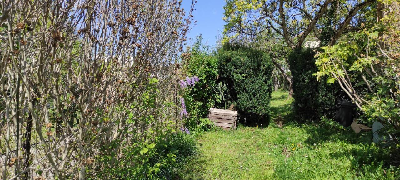 Maison Au Pied De La Montagne Aspet Екстериор снимка