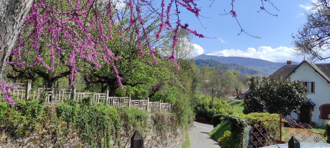 Maison Au Pied De La Montagne Aspet Екстериор снимка