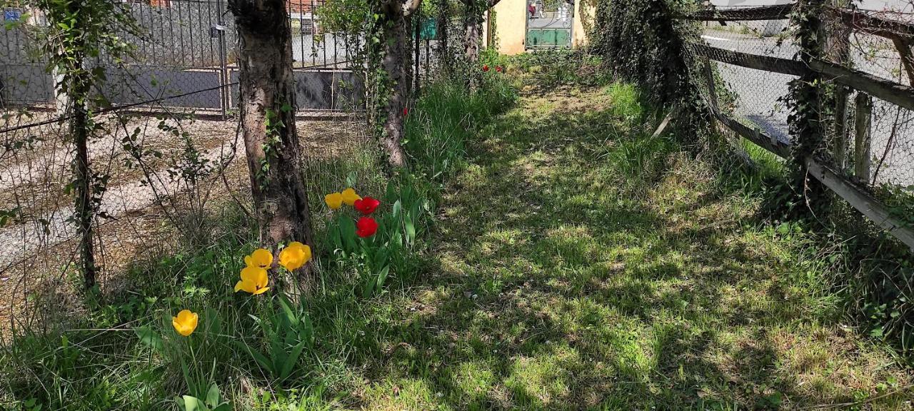 Maison Au Pied De La Montagne Aspet Екстериор снимка