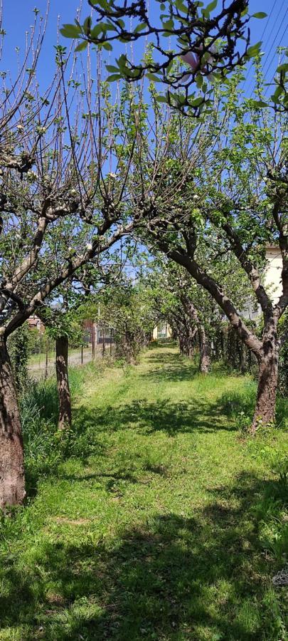 Maison Au Pied De La Montagne Aspet Екстериор снимка